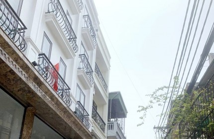 BÁN ĐẤT TẶNG NHÀ 3 TẦNG CŨ MẶT PHỐ GIÁP NHỊ, HOÀNG MAI, 90M2, 12.6 TỶ (CTL)
